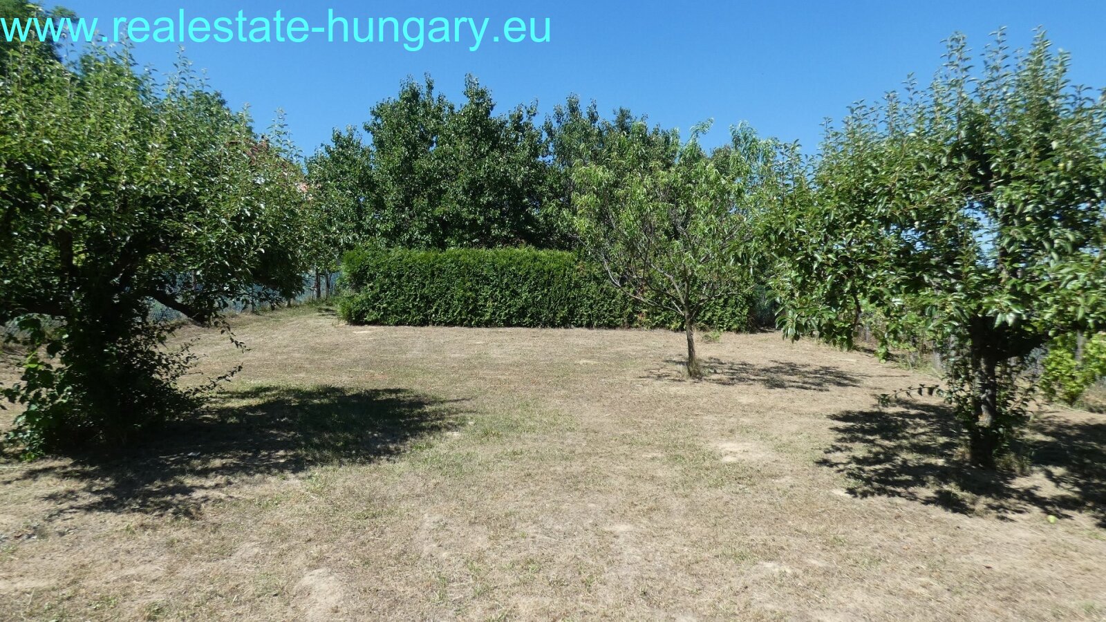 Kehidakustány: Building plot in the thermal spa 